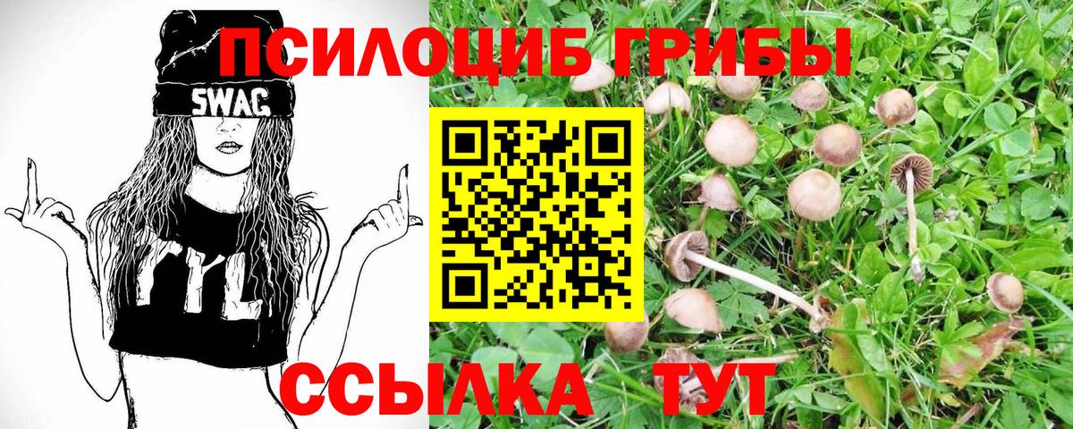 Галлюциногенные грибы GOLDEN TEACHER Волжский