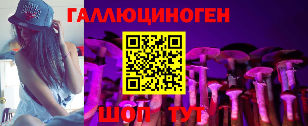 Псилоцибиновые грибы MAGIC MUSHROOMS  Вход с VPN  Волжский 